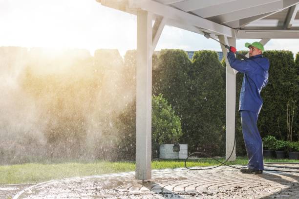 Best Roof Washing  in Millington, NJ